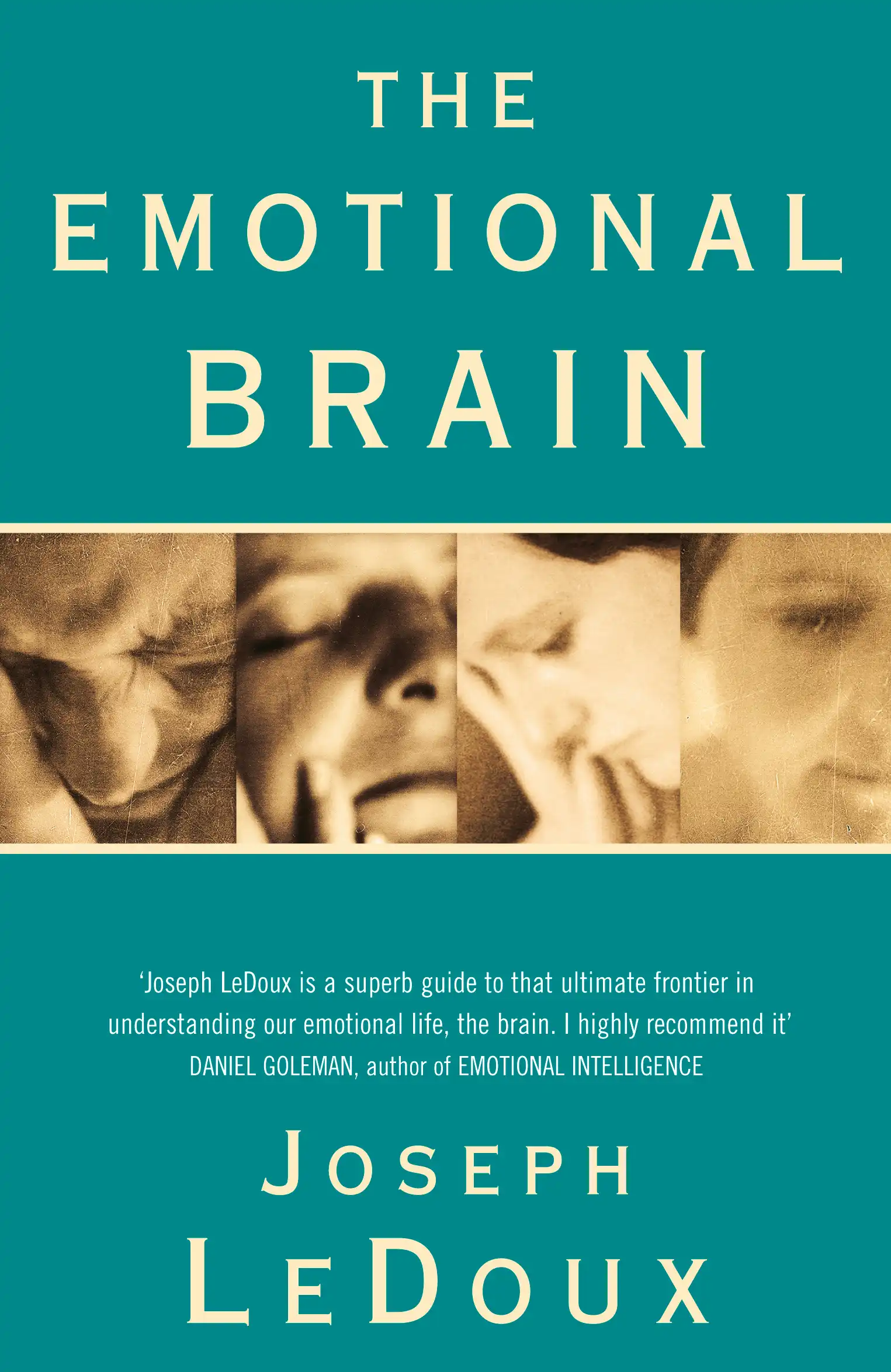 The Emotional Brain: The Mysterious Underpinnings of Emotional Life