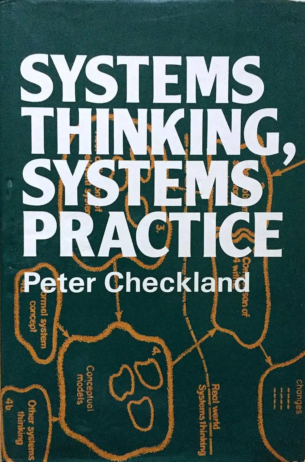 Systems Thinking, Systems Practice